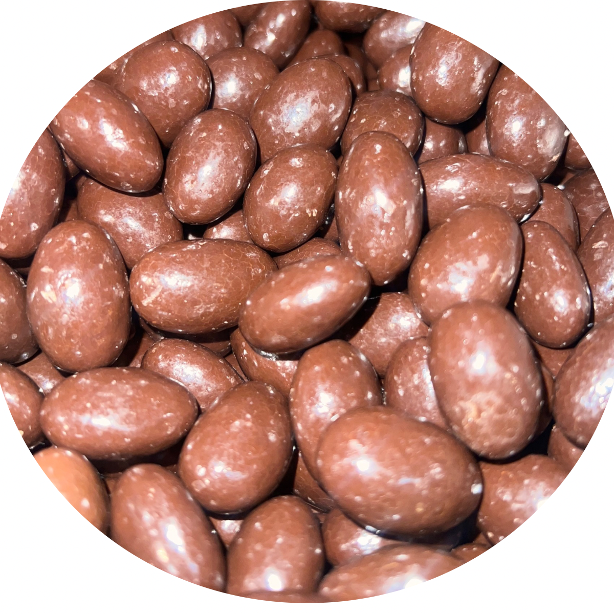 Belgian Milk Chocolate Covered Almonds