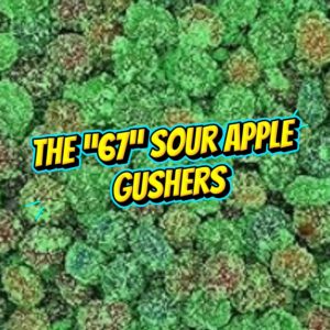 The "67" Sour Green Apple Gushers